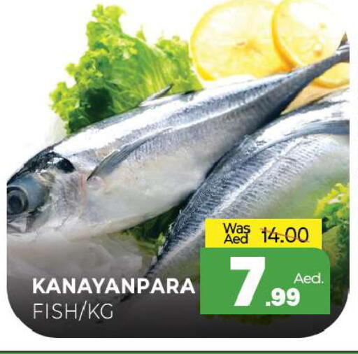 available at المدينة in الإمارات العربية المتحدة , الامارات - الشارقة / عجمان