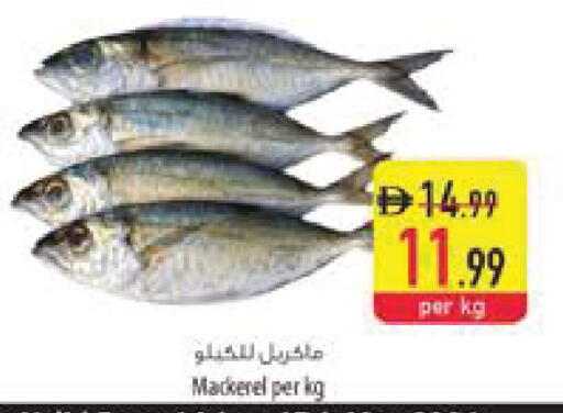 available at Safeer Market in UAE - Al Ain