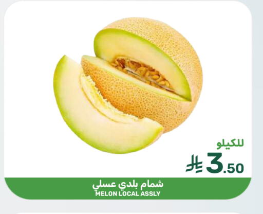 Melon available at  مـزايــا in مملكة العربية السعودية, السعودية, سعودية - المنطقة الشرقية