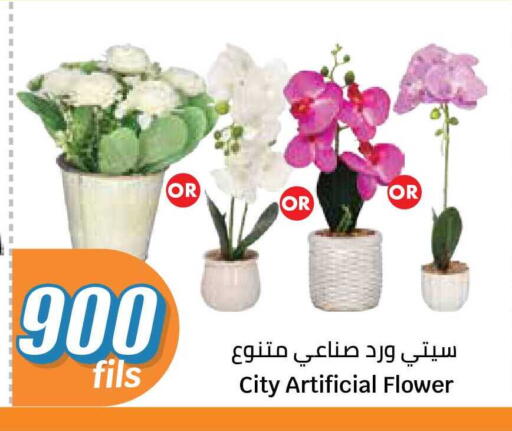available at سيتي هايبرماركت in الكويت - محافظة الجهراء