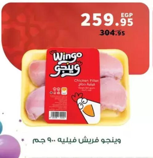 available at بنده in Egypt - القاهرة