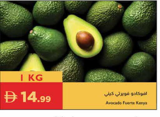 Avocado from Kenya available at إسطنبول سوبرماركت in الإمارات العربية المتحدة , الامارات - الشارقة / عجمان