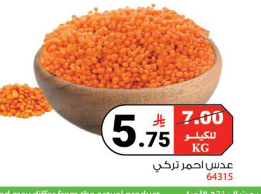 available at هاوس كير in مملكة العربية السعودية, السعودية, سعودية - مكة المكرمة