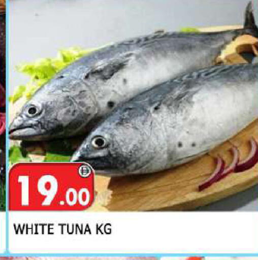 available at المدينة in الإمارات العربية المتحدة , الامارات - الشارقة / عجمان