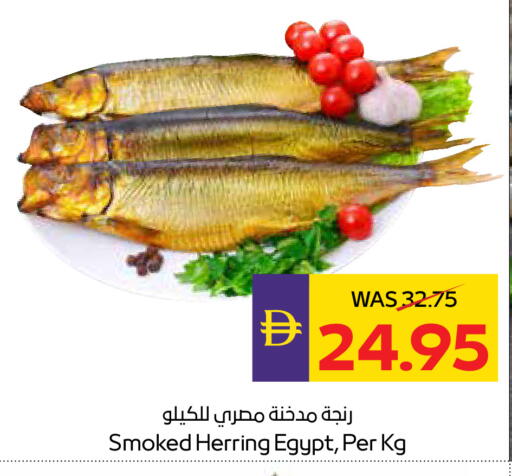 available at أدكووب in الإمارات العربية المتحدة , الامارات - رَأْس ٱلْخَيْمَة