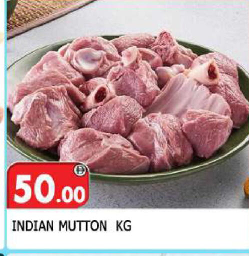available at المدينة in الإمارات العربية المتحدة , الامارات - الشارقة / عجمان