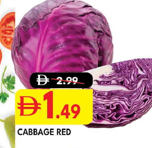 Cabbage available at ديزرت فريش ماركت in الإمارات العربية المتحدة , الامارات - أبو ظبي