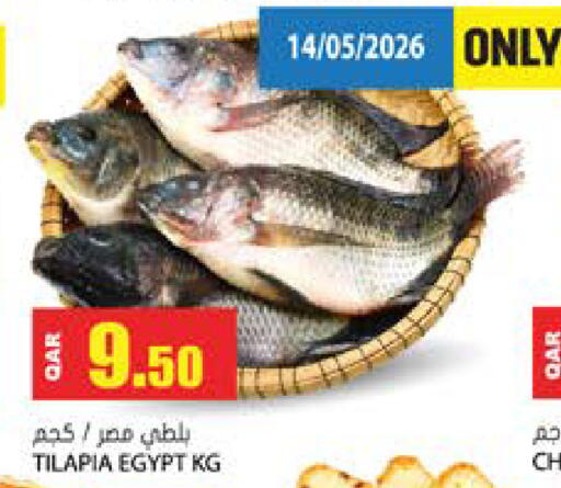 available at جراند هايبرماركت in قطر - الدوحة