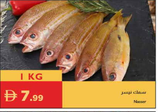 available at Istanbul Supermarket in UAE - Al Ain