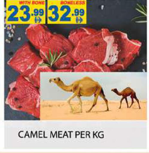 available at زين مارت سوبرماركت in الإمارات العربية المتحدة , الامارات - رَأْس ٱلْخَيْمَة