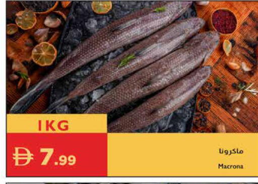 available at Istanbul Supermarket in UAE - Al Ain