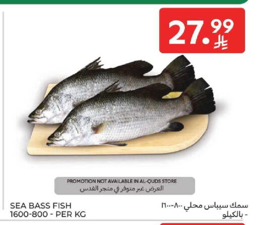 available at كارفور in مملكة العربية السعودية, السعودية, سعودية - المنطقة الشرقية