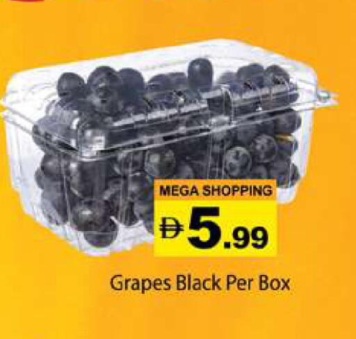 Grapes available at جلف هايبرماركت ذ.م.م in الإمارات العربية المتحدة , الامارات - رَأْس ٱلْخَيْمَة