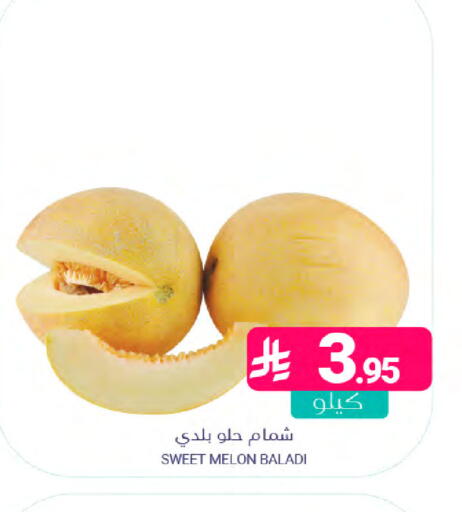 Melon available at اسواق المنتزه in مملكة العربية السعودية, السعودية, سعودية - المنطقة الشرقية