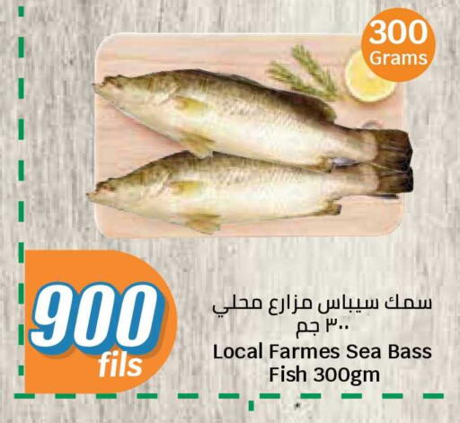 available at سيتي هايبرماركت in الكويت - مدينة الكويت