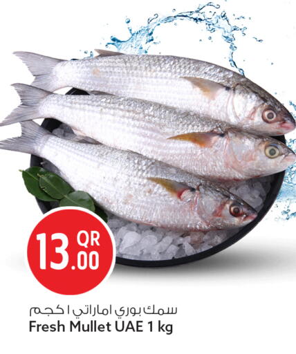 available at Safari Hypermarket in Qatar - Al Rayyan