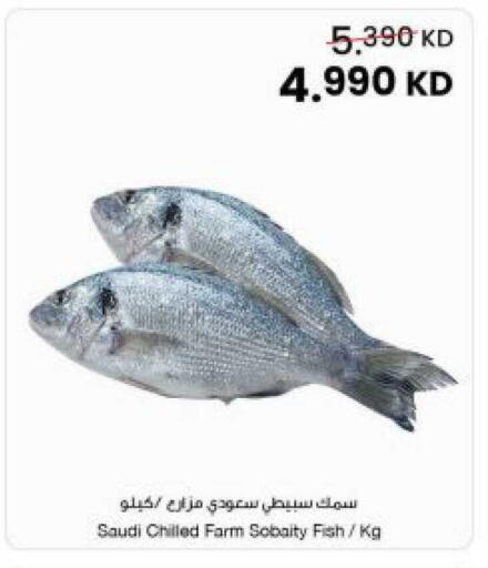 available at مركز سلطان in الكويت - مدينة الكويت