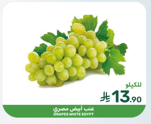 Grapes from Egypt available at  مـزايــا in مملكة العربية السعودية, السعودية, سعودية - المنطقة الشرقية