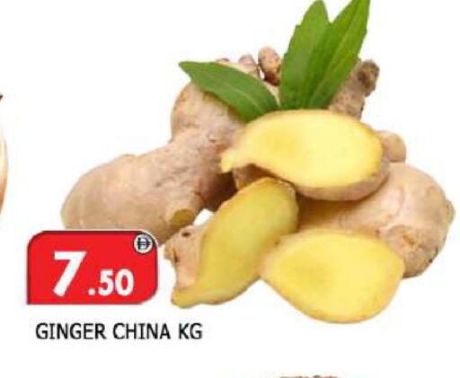 Ginger from China available at المدينة in الإمارات العربية المتحدة , الامارات - الشارقة / عجمان