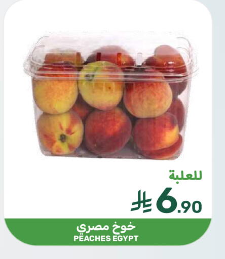 from Egypt available at  مـزايــا in مملكة العربية السعودية, السعودية, سعودية - المنطقة الشرقية