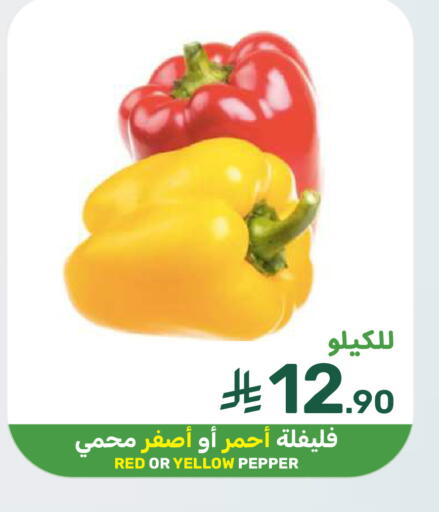 Pepper available at  مـزايــا in مملكة العربية السعودية, السعودية, سعودية - المنطقة الشرقية