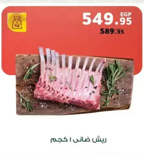 available at Panda  in Egypt - Cairo