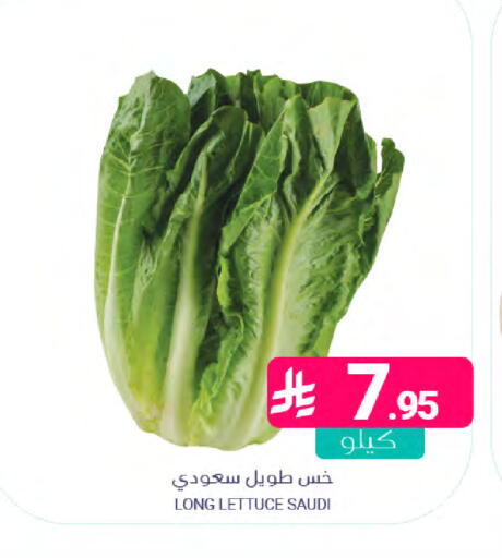 Lettuce from Saudi Arabia available at اسواق المنتزه in مملكة العربية السعودية, السعودية, سعودية - المنطقة الشرقية