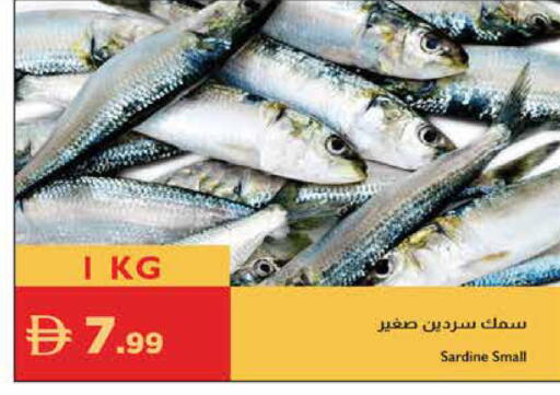 available at Istanbul Supermarket in UAE - Al Ain