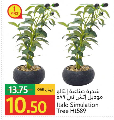 available at Gulf Food Center in Qatar - Al Shamal