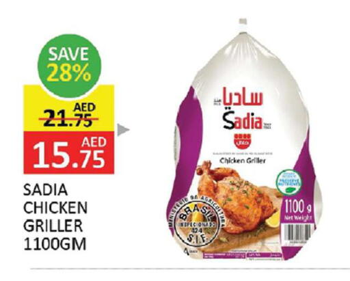 available at المدينة in الإمارات العربية المتحدة , الامارات - الشارقة / عجمان