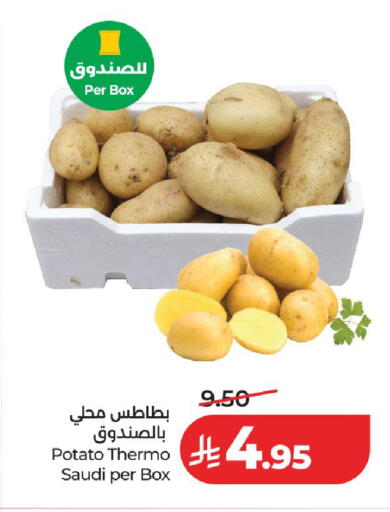 Potato from Saudi Arabia available at لولو هايبرماركت in مملكة العربية السعودية, السعودية, سعودية - الرياض