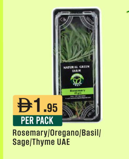 Rosemary Oregano Basil Sage Thyme available at ويست زون سوبرماركت in الإمارات العربية المتحدة , الامارات - الشارقة / عجمان