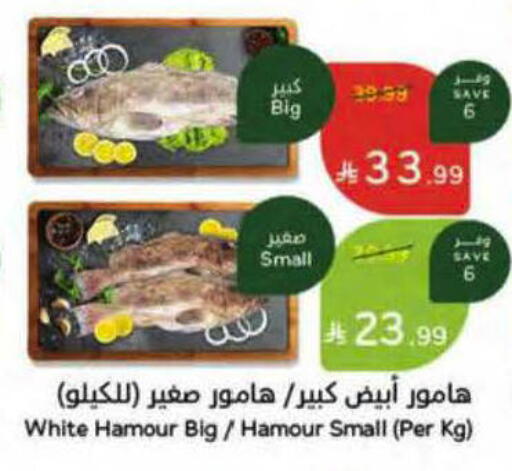 available at هايبر بنده in مملكة العربية السعودية, السعودية, سعودية - بريدة