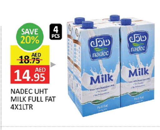 available at المدينة in الإمارات العربية المتحدة , الامارات - الشارقة / عجمان