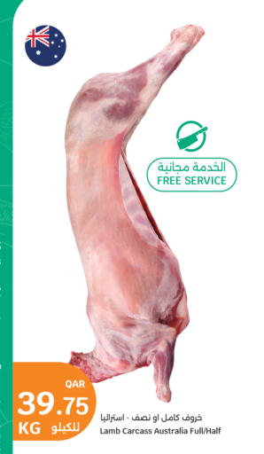 available at سيتي هايبرماركت in قطر - الشمال
