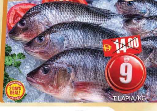 available at المدينة in الإمارات العربية المتحدة , الامارات - الشارقة / عجمان