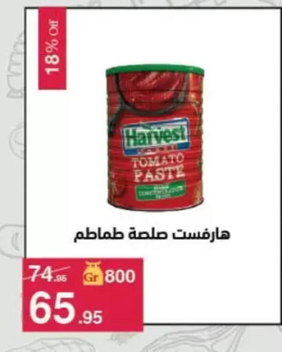 Tomato available at Mahmoud El Far in Egypt - Cairo