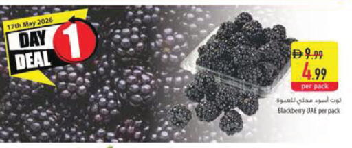 Blackberry available at Safeer Market in UAE - Dubai