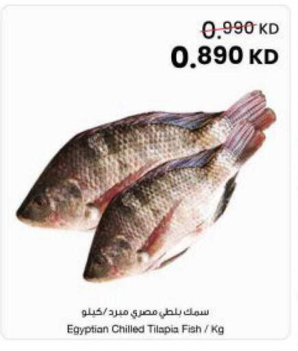 available at مركز سلطان in الكويت - مدينة الكويت