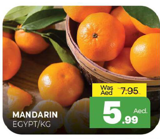Mandarin from Egypt available at المدينة in الإمارات العربية المتحدة , الامارات - الشارقة / عجمان
