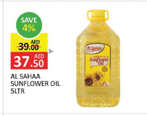available at المدينة in الإمارات العربية المتحدة , الامارات - الشارقة / عجمان