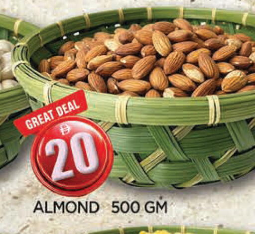 available at المدينة in الإمارات العربية المتحدة , الامارات - الشارقة / عجمان