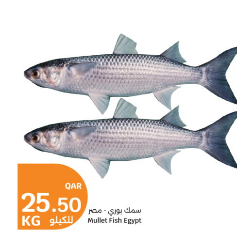 available at سيتي هايبرماركت in قطر - الشمال