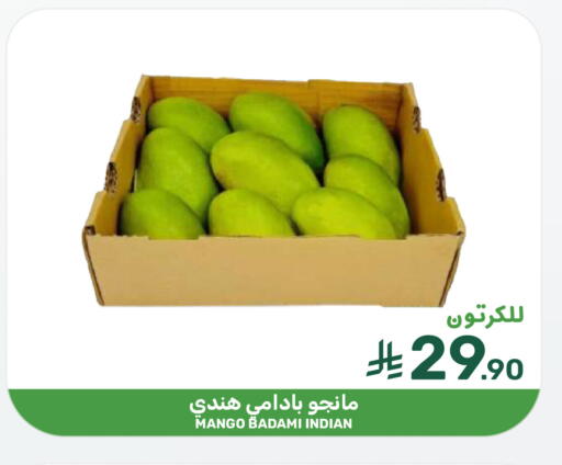 Mango from India available at  مـزايــا in مملكة العربية السعودية, السعودية, سعودية - المنطقة الشرقية