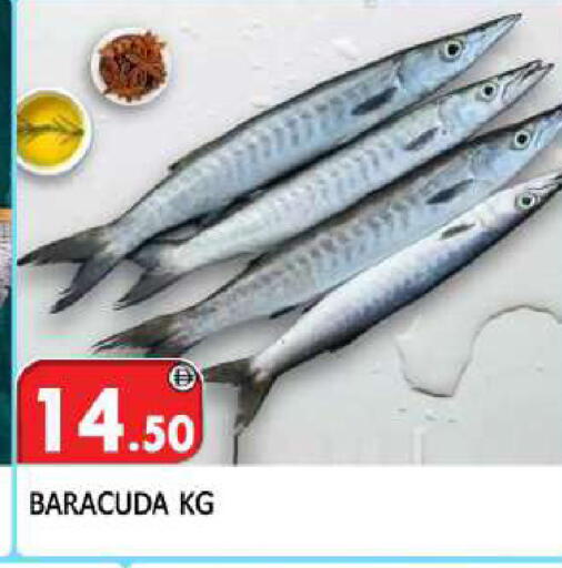 available at المدينة in الإمارات العربية المتحدة , الامارات - الشارقة / عجمان