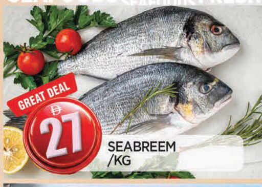 available at المدينة in الإمارات العربية المتحدة , الامارات - الشارقة / عجمان