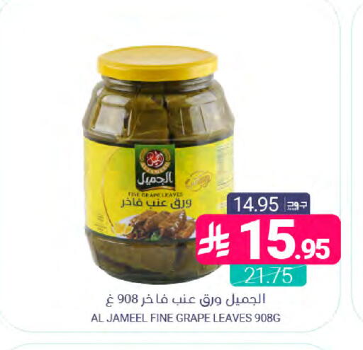 available at اسواق المنتزه in مملكة العربية السعودية, السعودية, سعودية - المنطقة الشرقية