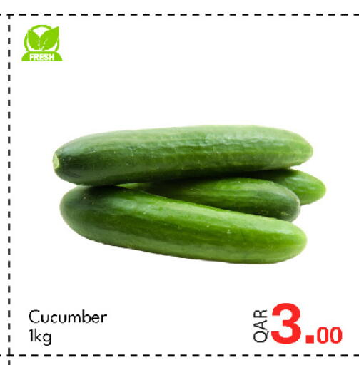 Cucumber available at جي-ماكس هايبرماركت in قطر - الوكرة