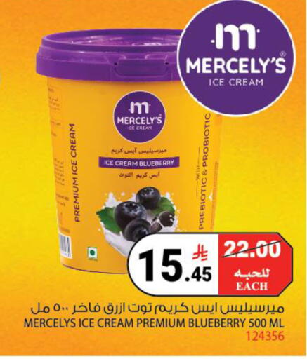 Blueberry BlueBerry available at هاوس كير in مملكة العربية السعودية, السعودية, سعودية - مكة المكرمة