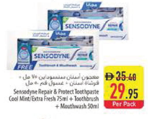Mint available at Safeer Market in UAE - Al Ain